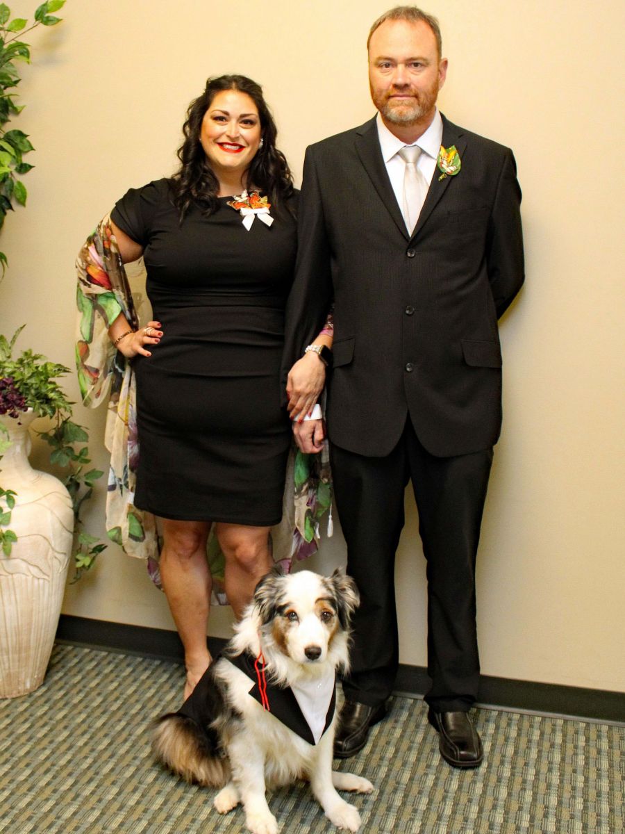 District OH7 Lions eDistrict Houses